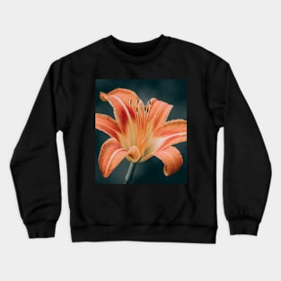 Dark Daylily Crewneck Sweatshirt